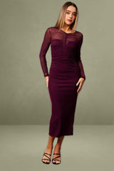 Brown Long Sleeve Mesh Bodycon Dress