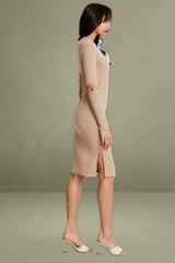 Brown Midi Dress Long Sleeve