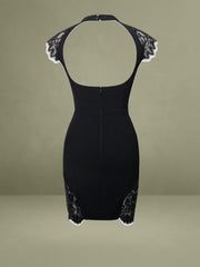 Quinella Black Lace Crepe Backless Mini Dress