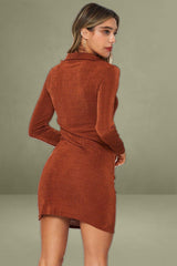 Brown Mini Dress Long Sleeve