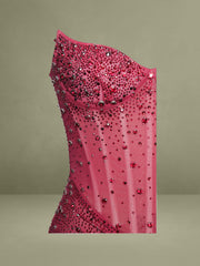 Burgundy Crystal Sleeveless Corset Mermaid Maxi Dress