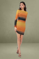 Brown Abstract Mini Dress Long Sleeve Crew Neck Ruched Waist Mesh