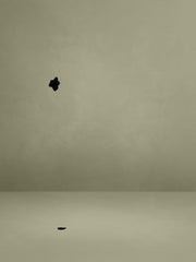 Echo Black Velvet Off-shoulder Pleated Mini Dress