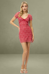 Red Ditsy Mesh V Neck Mini Dress