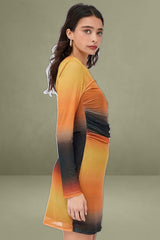 Brown Abstract Mini Dress Long Sleeve Crew Neck Ruched Waist Mesh