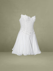 Fabiola Lace Trim Silver Net Top Mini Flare Chiffon Dress