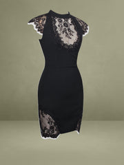 Quinella Black Lace Crepe Backless Mini Dress
