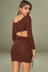 Brown Long-Sleeved Midi Dress
