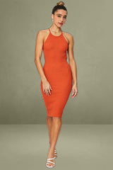 Brown Bodycon Dress Knit