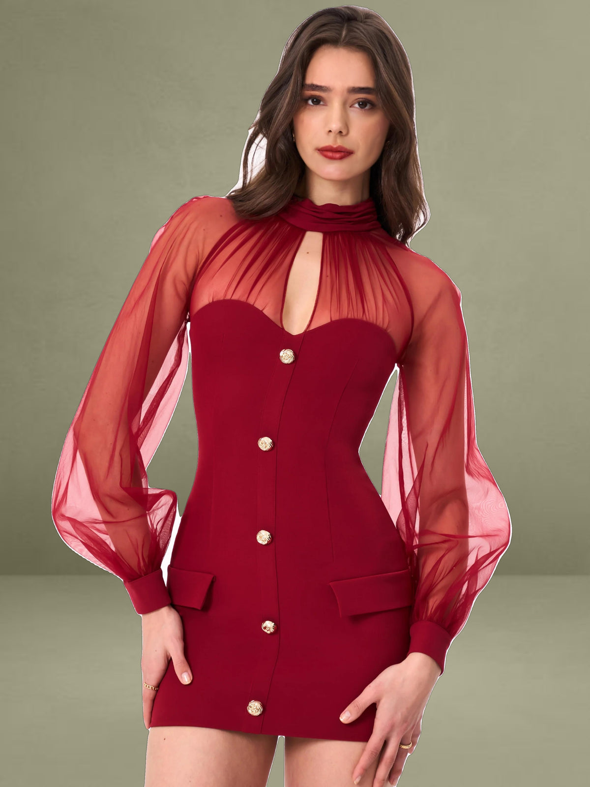 Tabitha Burgundy Mesh Lantern Sleeve Mini Dress